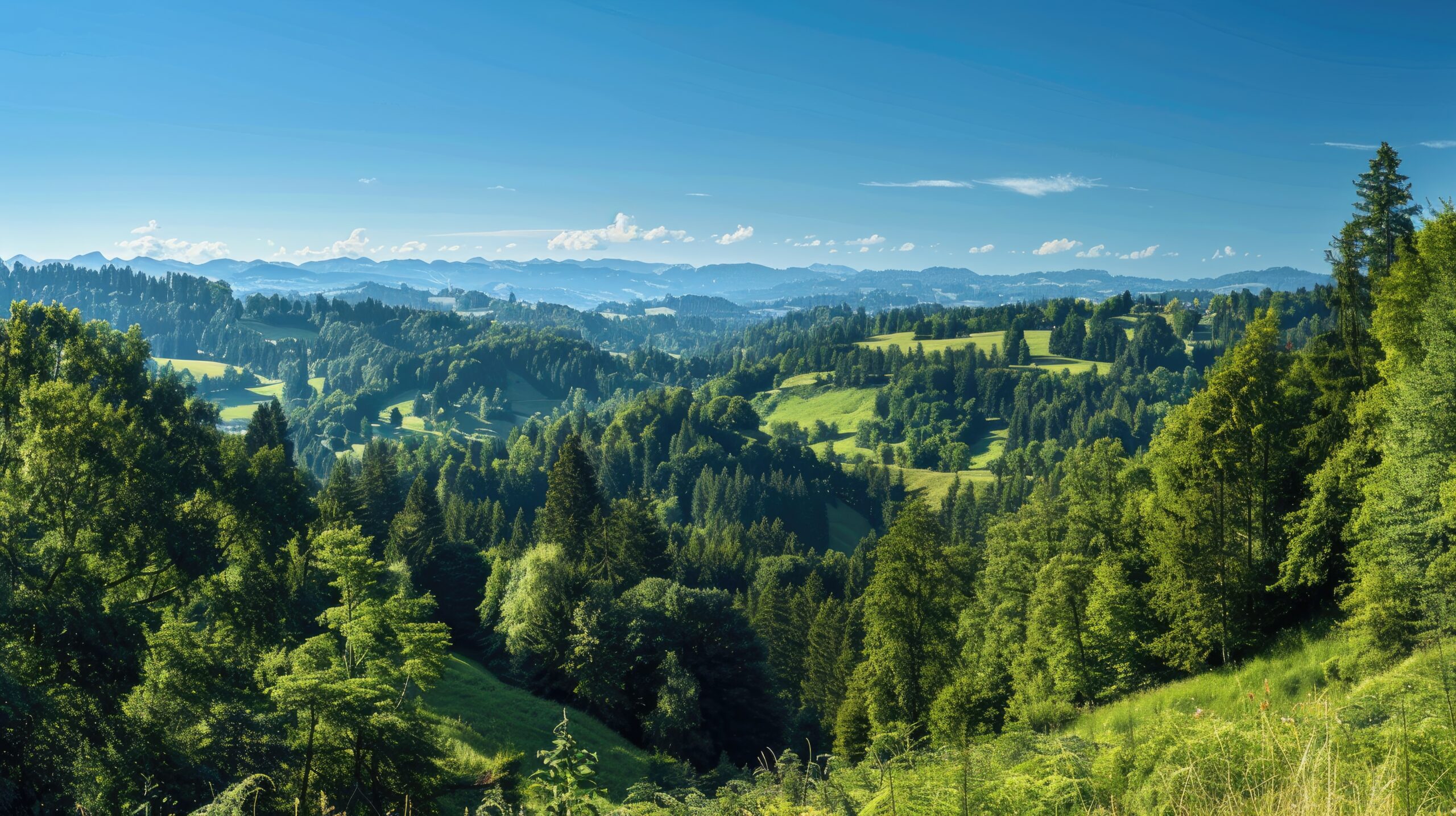 A serene view of the Swiss Jura Mountains, with dense forests, rolling hills, and clear blue skies