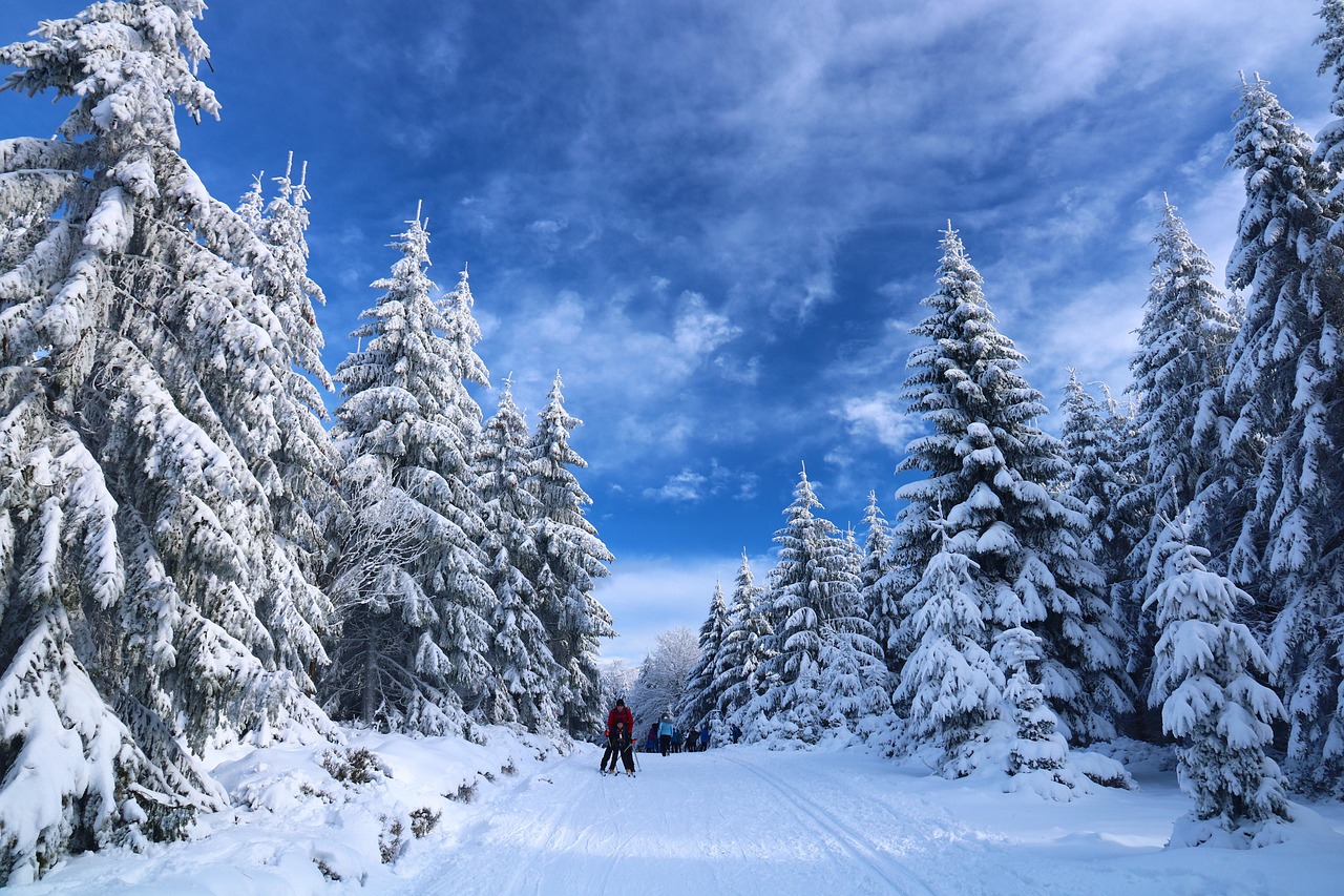 Vacances aux Jouvencelles : activités hivernales autour des Rousses